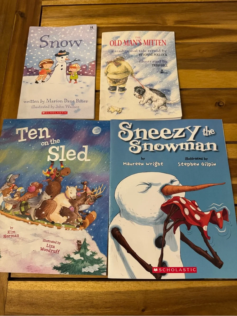 Snow & Winter 16 Books - Bundle
